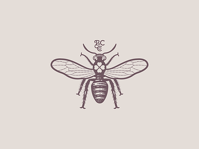 Bee 🐝 branding engraving etching graphic design illustration illustrator line art logo peter voth design