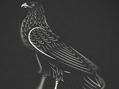 Aquila pt. III badge eagle engraving etching graphic design icon illustration illustrator line art peter voth design vector