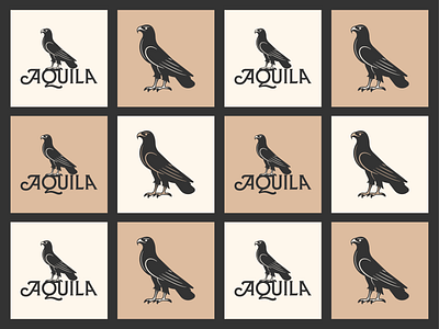 Aquila pt. IV branding graphic design icon illustration illustrator line art logo peter voth design vector