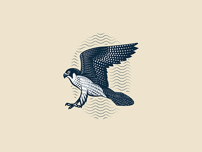 Falcon Engraving engraving etching illustration illustrator line art logo peter voth design vector