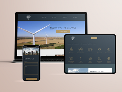 Inkanyezi Development Solutions website branding design ui website