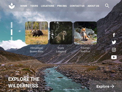 Landing page UI Page 2 app branding challenge daily ui dailyui design travel travelling ui ux wilderness wildlife