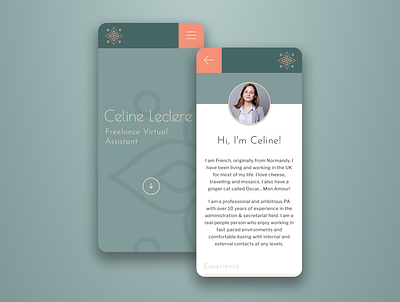 Celine Leclere Website branding design illustrator logo ui ux website