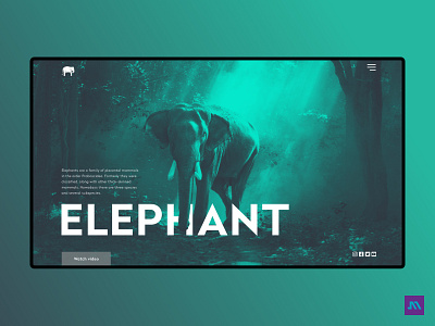 Concept home page | Elephant adobe photoshop adobe xd concept concept design conceptual design elephant home page ui ui design ux web website xd