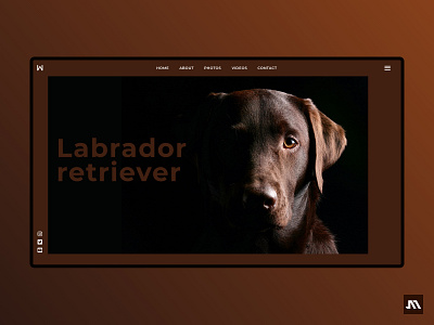 Concept home page | Labrador adobe photoshop adobe xd concept concept design conceptual design dog home page labrador retriever ui ux web website xd