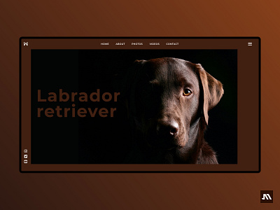 Concept home page | Labrador