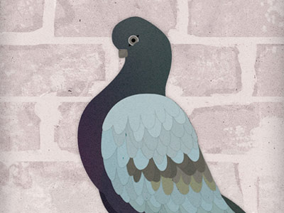 Pigeon Wearing Hunter Wellies illustration