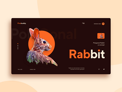Rabbit UI concept. behance colors designer designs logodesign logodesigner rabbit typography ui uidesigner uidesigns uiinspirations uiux ux uxdesigns uxresearch uxui webdesigner webdesigns webdevelopment