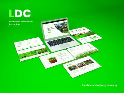 LDC Website design