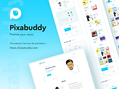 Pixabuddy website design