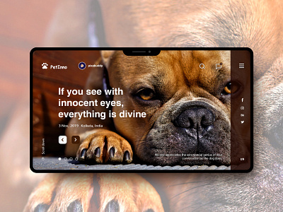 PetInno UI behance design dribbble instagram logo logodesign uidesign uidesigner uidesing uitrends uiux ux uxdesign uxresearch uxui web webdesign webdesigner webdeveloper webdevelopment