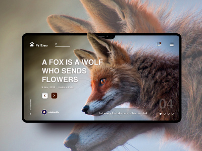 PetInno UI behance design dribbble instagram logo logodesign ui ui design uidesign uitrends uiux ux ux designer uxdesign uxresearch uxui web webdesign webdesigner