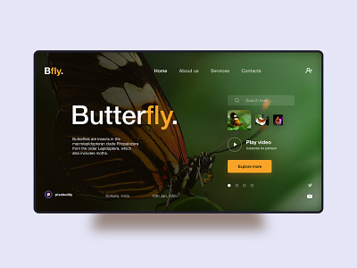 Butterfly ui.