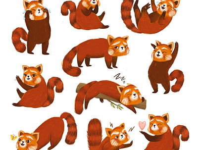 Red panda animals book book illustration child childrens childrens book cute animal cute art design illustration kid red panda stickers