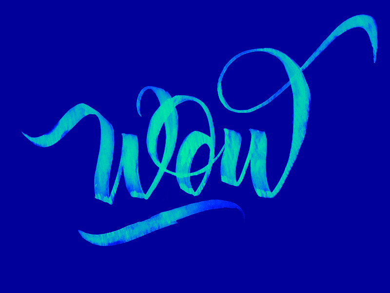 Wow By Stefan Andrei Ferencz On Dribbble