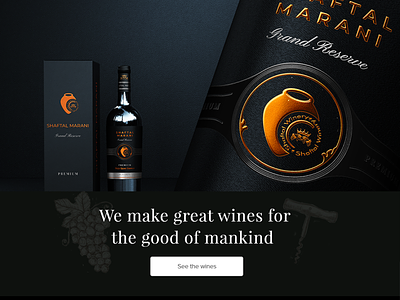 Georgian Wine Branding branding design graphic design logo ui