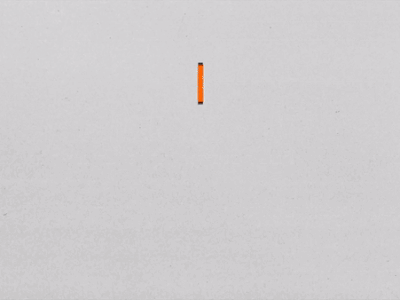 Motion Cuts 151 | MonkeyBusiness alltype animation animation 2d animation after effects grey illustration motion motion design motion graphics orange type