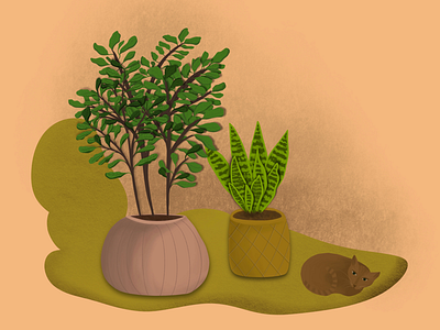 Some plants
