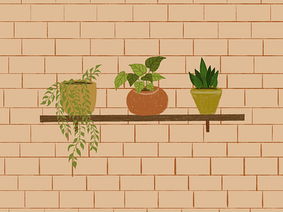 Plants brick green minimal orange plants pots procreate shelve warm yellow