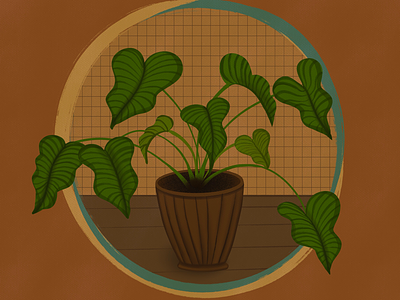 Plant brown green home house illustration plant procreate