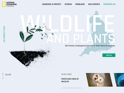 Landing Page-Wildlife & Plants