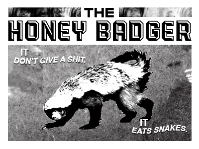 The Honey Badger honey badger