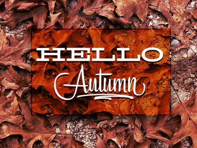 Hello Autumn autumn seasons