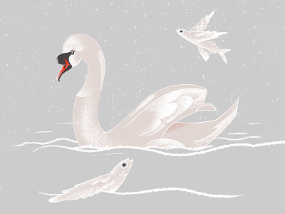 Swan & The Flying Fishes