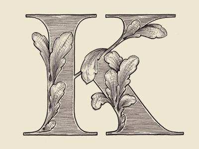 "K" 36 days of type acanthus drop cap illustration lettering