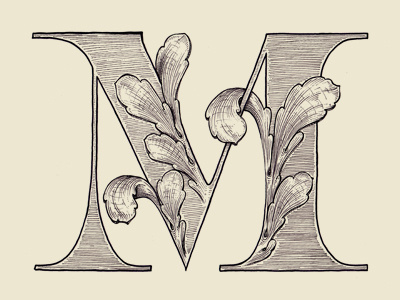 "M" 36 days of type acanthus drop cap illustration lettering