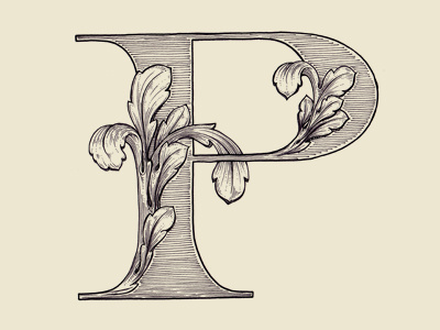 "P" 36 days of type acanthus drop cap illustration lettering