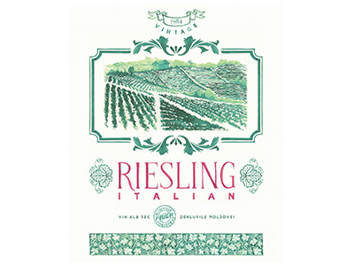 Italian Riesling Handpainted Label anotheroutsider georgian constantin hand painted label illustration italian riesling lettering painted label watercolor watercolor illustration watercolor label watercolor lettering wine label