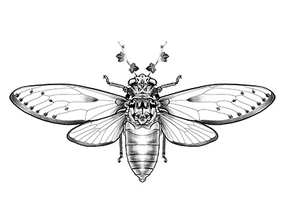 cicada tattoo meaning