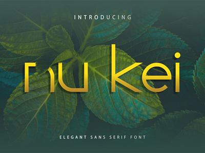 Nu Kei Font calligraphy elegant famous font futuristic graphic design logo modern sans serif techno thin typography