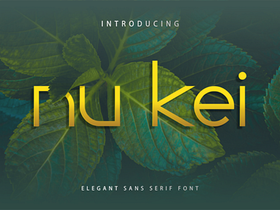 Nu Kei Font