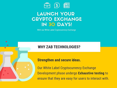 white label crypto exchange development cryptocurrency exchange cryptoexchange development whitelabelcryptoexchange