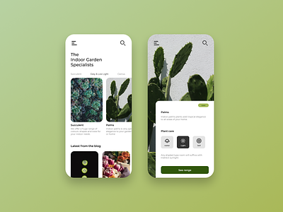 Home Plants Application design figma flat illustration plants plants app shapes web website