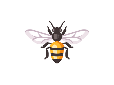 Bee bee daily design flat illustration insect vector wasp