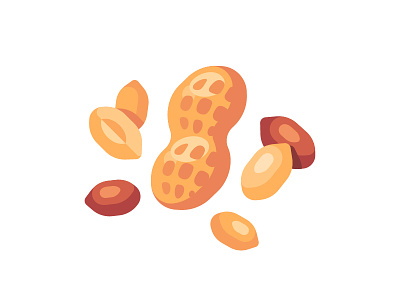 Peanut daily design flat food groundnut icon illustration nut peanut vector