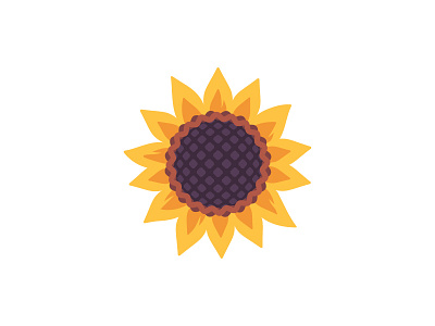 Sunflower daily design flat icon illustration sunflower vector