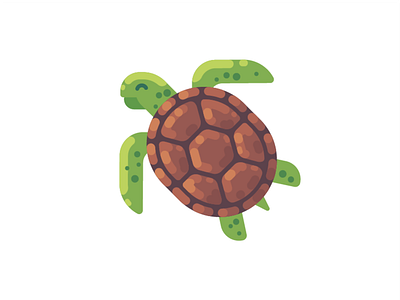 Turtle animal design flat icon illustration sea turtle vector