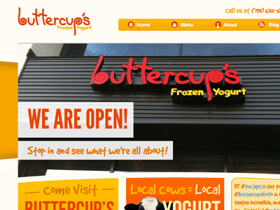 Frozen Yogurt Website branding css3 orange web website