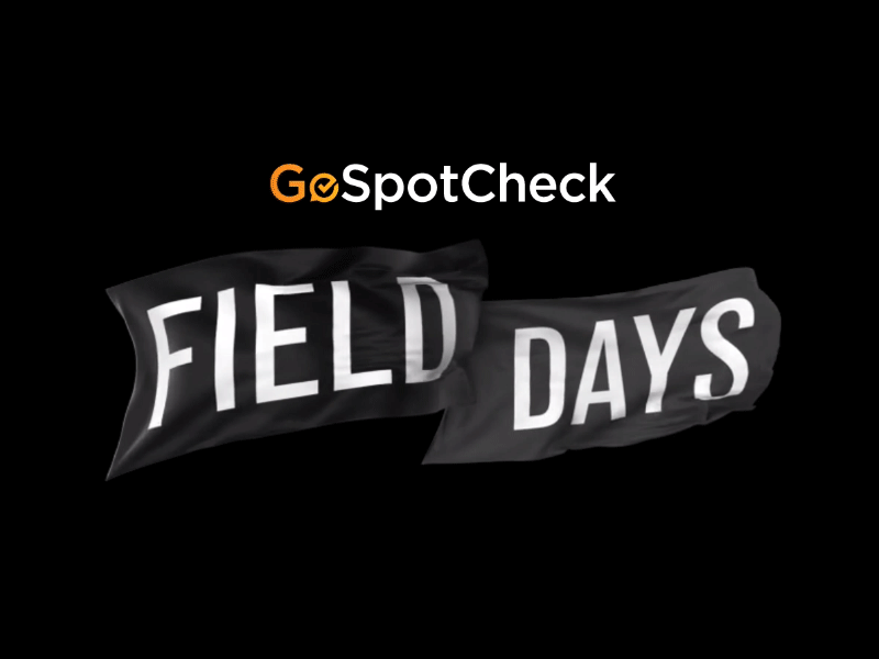 GoSpotCheck Field Days 2017 Flag Animation animation brand flag identity logo motion wave waving
