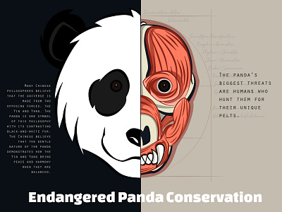 Daily Logo 03 Panda – Endangered Panda Conservation affinitydesigner artwork creative dailylogochallenge dailylogochallenge3 design graphics illustration logo panda vector yinyang