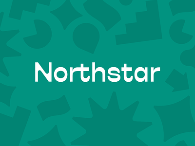 Northstar Logotype benefits brand branding budget design team finance finances fintech graphic design green icon identity logo minimal mission driven northstar pattern product design