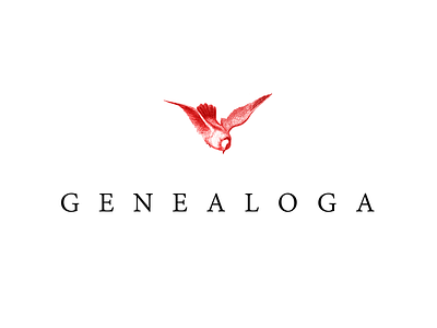 Genealoga Logo bird branding calligraphy design font letter lettering logo type typography