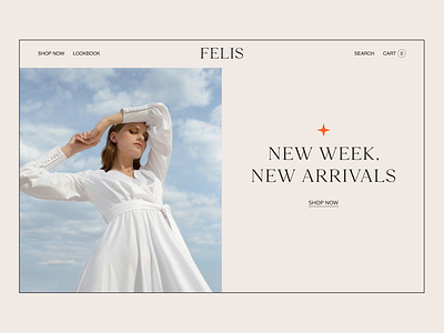 Felis - Clothing Store Concept design ecommerce shop minimal modern ui ux webdesign