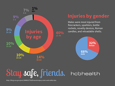 Fireworks infographic 3