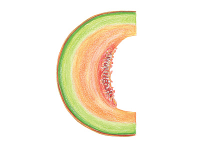 C is for cantaloupe cataloupe colored pencils fruit hand drawn healthy illustration kids illustration organic typography typography art