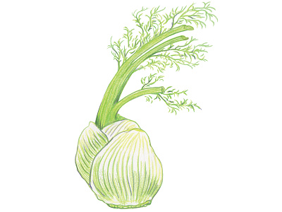 F is for Fennel